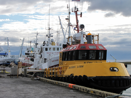 Hafen in Höfn