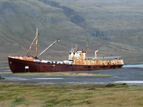 gestrandeted Schiff bei Osafjördur