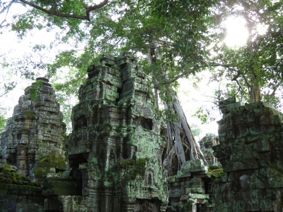 moosbewachsene Tempelruine in Ta Phrom