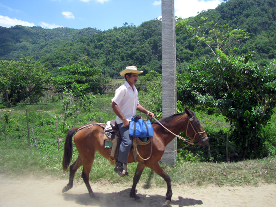 Gaucho auf dem Weg nach Trinidad