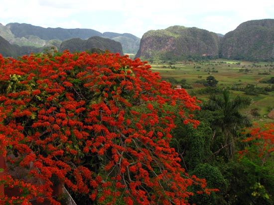 Ausblick vom Hotel in Vinales