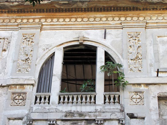 Bäume wachsen aus leeren Fensterhöhlen