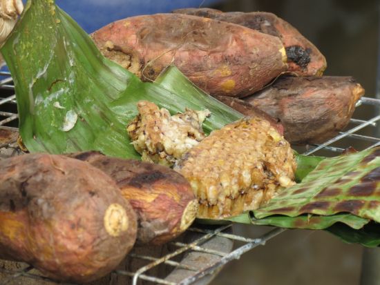 gebackene Bienenlarven