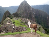 Macchu Pichu