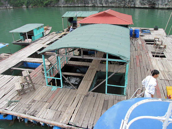 schwimmende Fischfarm