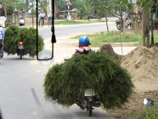 schwer beladenes Moped